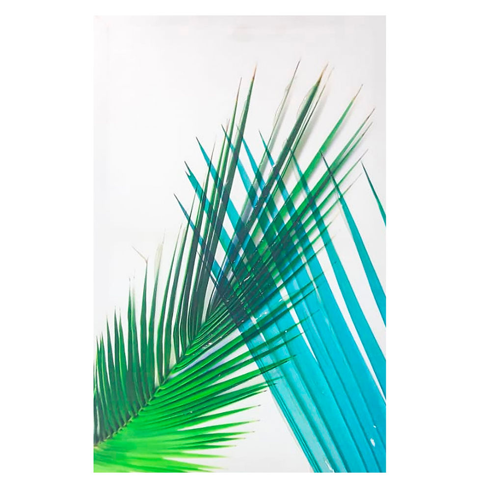 Miniatura: CUADRO LARGO