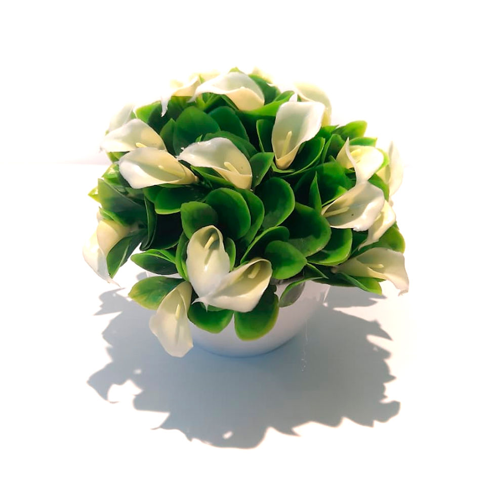 Miniatura: FLORES MATERO