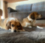 Bijou & Marlo