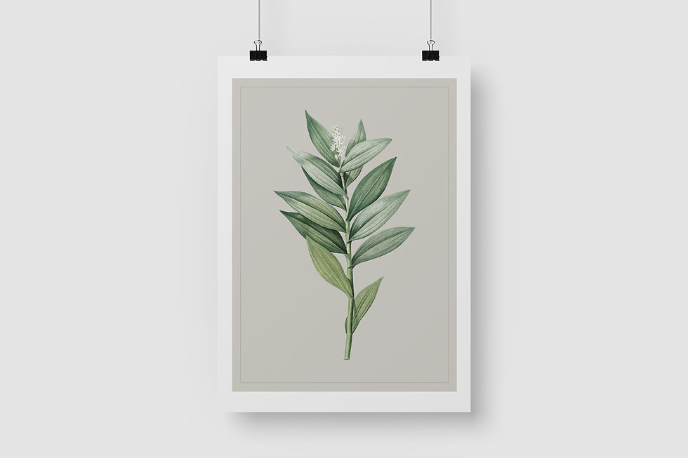 Nude Botanical Collection 2 - Poster