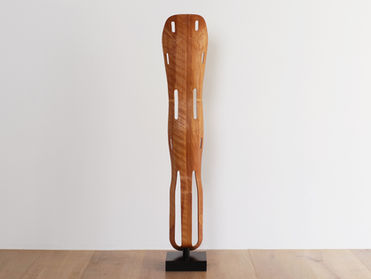 Leg Splint / Evans products