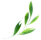 leaf.png