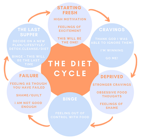 website diet cycle.png