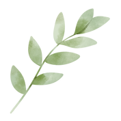 fern leaf (2).png