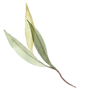Untitled design - 2022-04-20T145603.499.png