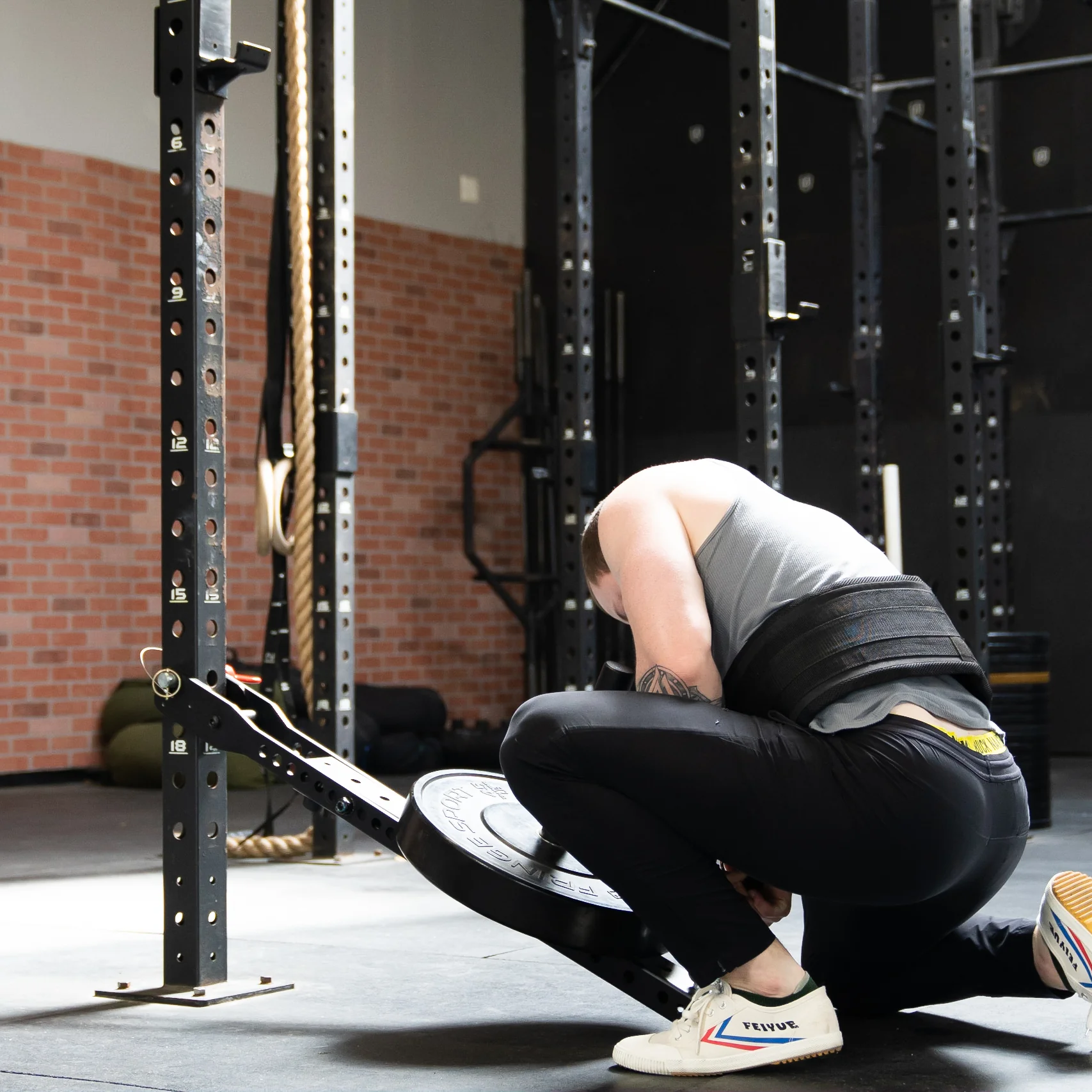 Fringe Sport Mammoth Belt Squat