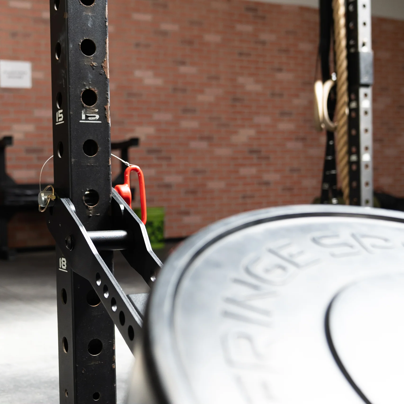 Fringe Sport Mammoth Belt Squat