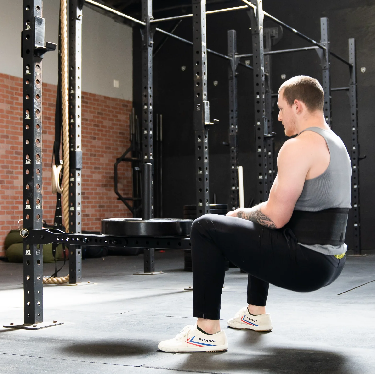 Fringe Sport Mammoth Belt Squat