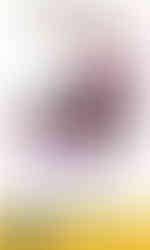 Beet-It beetroot shots