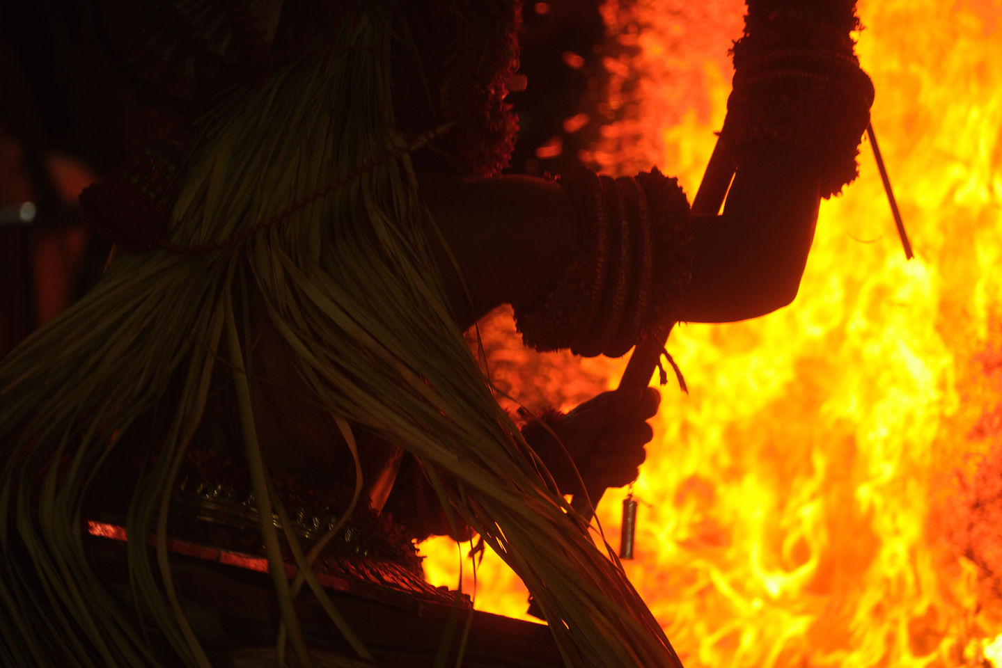 _DSF1231 copy fb.jpg