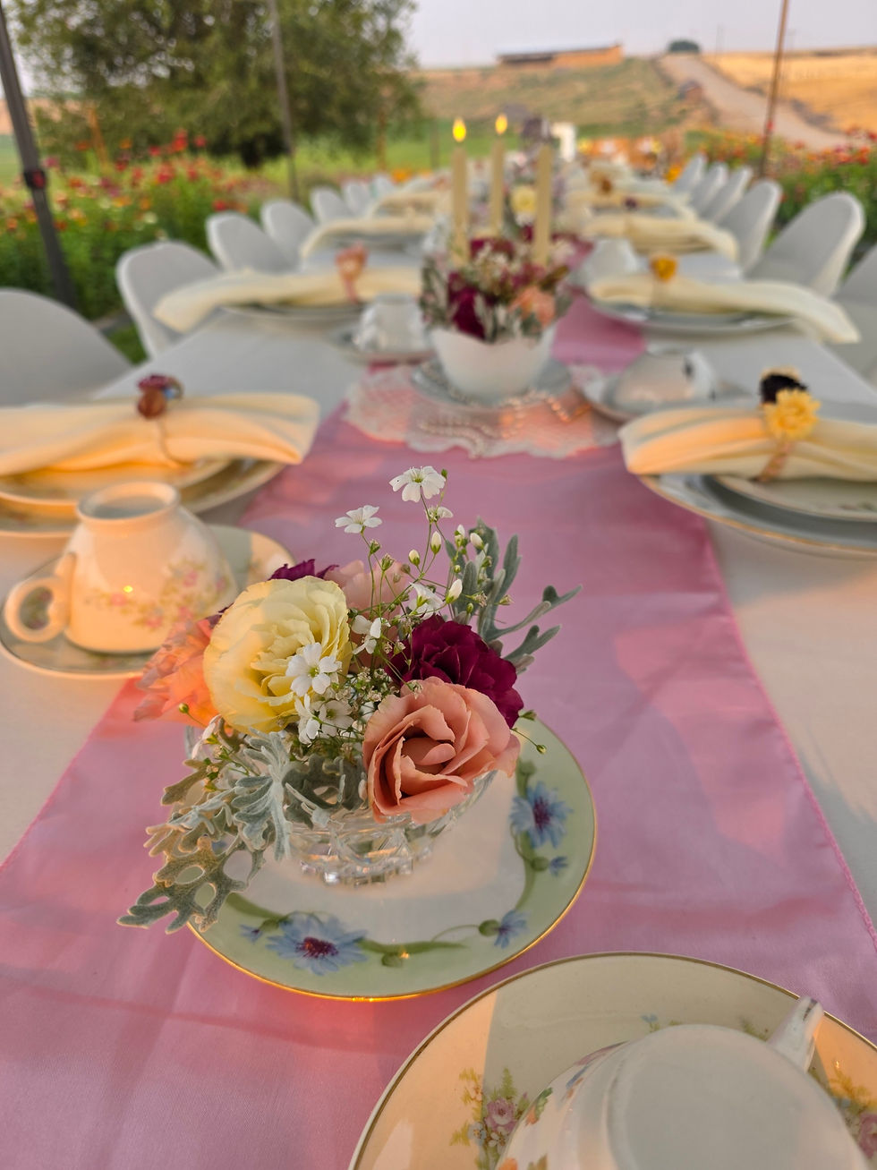 Bridal Shower