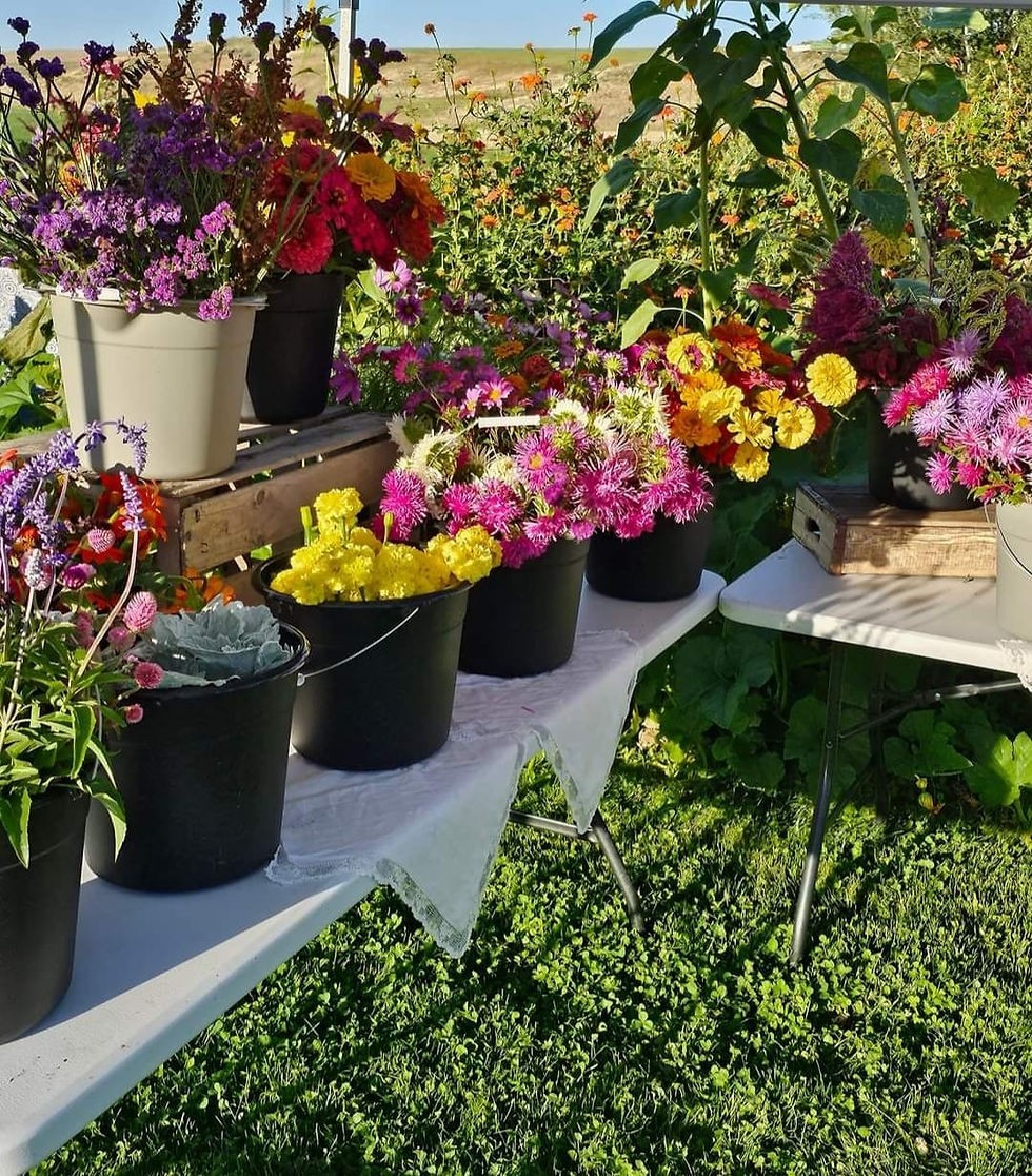 Bouquet Bar