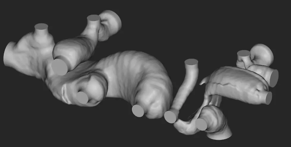Figure D: A look at the internal channels of Figure B, the Inkbit Vista™ printed optimized part.  These channels have been designed for optimal fluid dynamics.