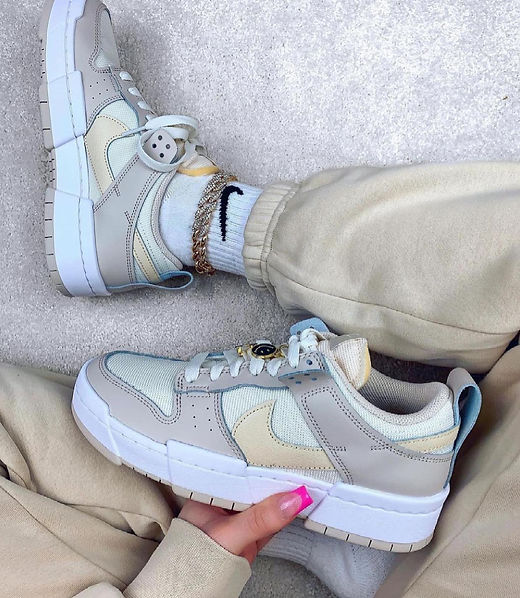 Nike Dunk Low Disrupt