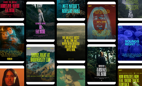 Sounds Right social assets