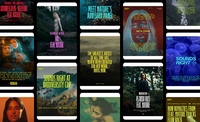 Sounds Right social assets