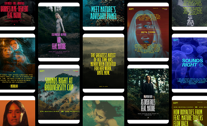 Sounds Right social assets