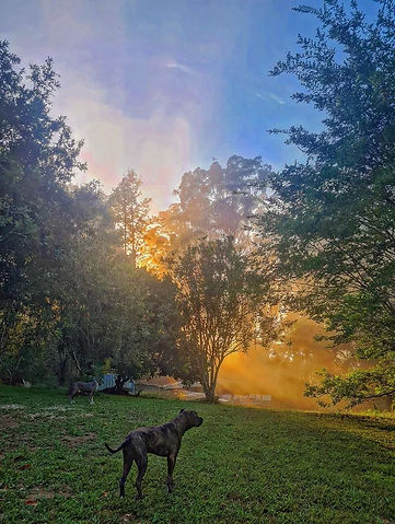 WhatsApp Image 2026-04-08 at 1.28.50 PM.jpeg