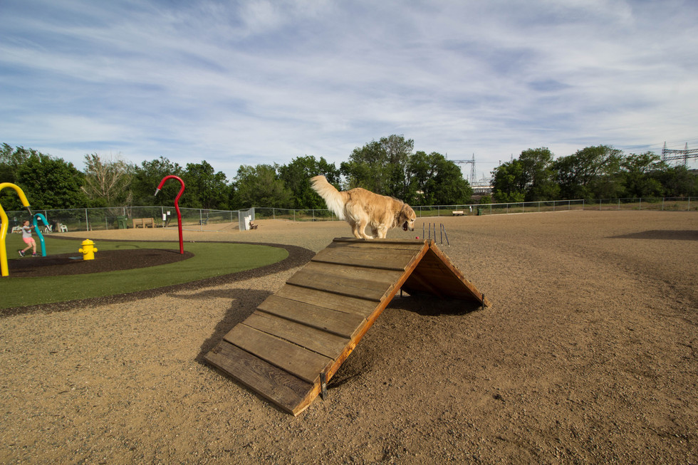 Willow Creek Dog Park