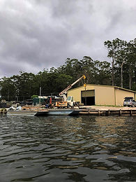 TheOysterFarmersDaughter_shed2.jpeg