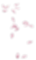 Delicate pink petals scattered on a checkered background, rendered with soft, airy shading.