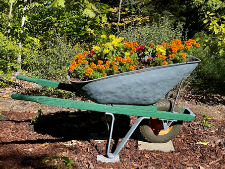 Recycle or Repurpose?