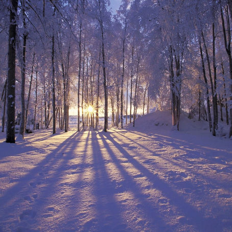 Let it Snow
