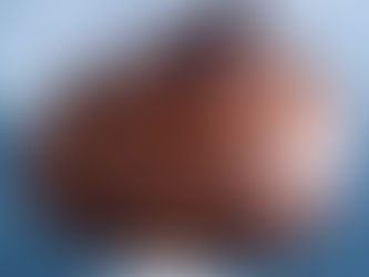 A Super Bowl Delight