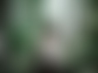 Hiking the Best Trail