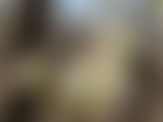 Redbuds and Dogwoods