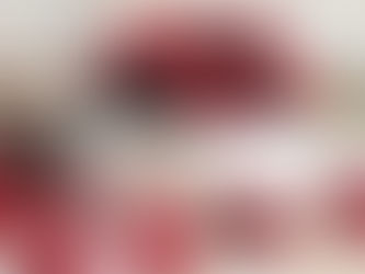 The Perfect Diet Plan