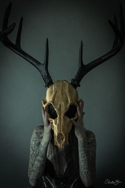 Studioshooting - Oberleichtersbach