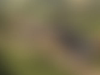 Will Inheritance Tax Change in the 2025 Budget? What UK Families Should Expect Under Labour’s New Rules