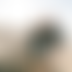 Q&A with Sarah and Cyndy: Protection and Diversification –Whole Life Insurance