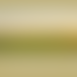 Farm Succession Planning: Getting the Conversation Started