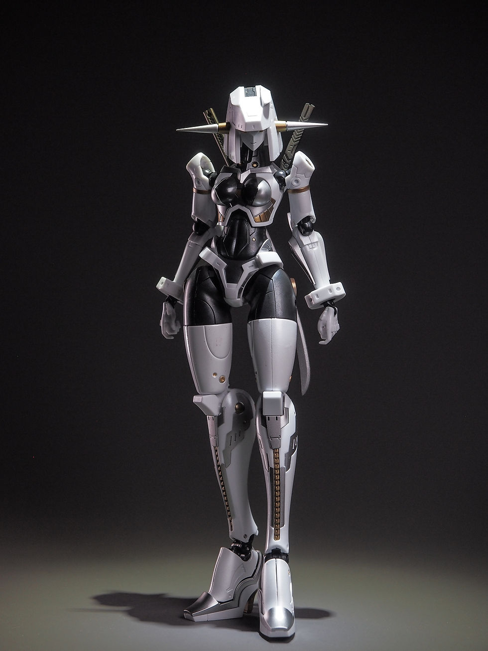Thumbnail: G01 MoMo Mobile Movementess orca-0 pre-production Type
