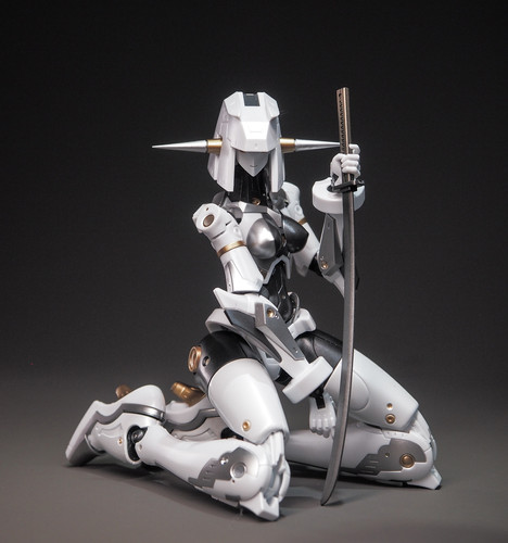 G01 MoMo Mobile Movementess orca-0 pre-production Type | Planet