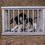 Thumbnail: RMX-01plus Jaguar cage