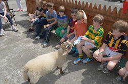 Nore Valley Park Summer Camp