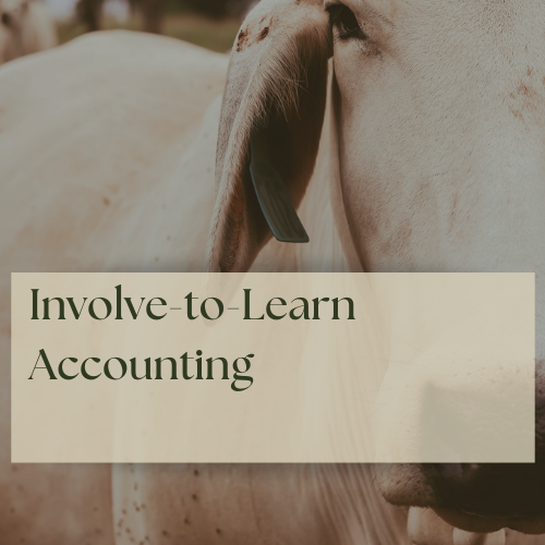 Involve-to-Learn Accounting