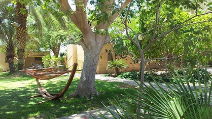Kibbutz Eilot neu.jpg