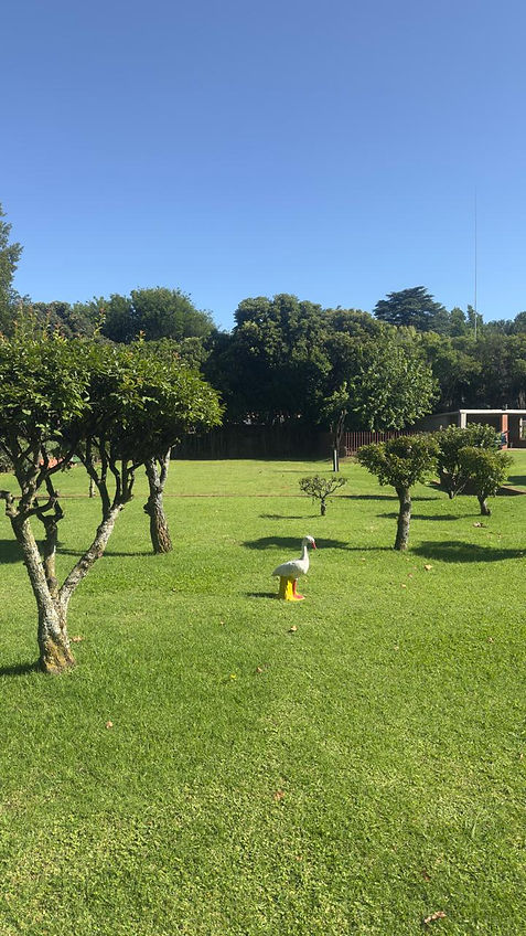 WhatsApp Image 2025-12-30 at 07.34.44.jpeg