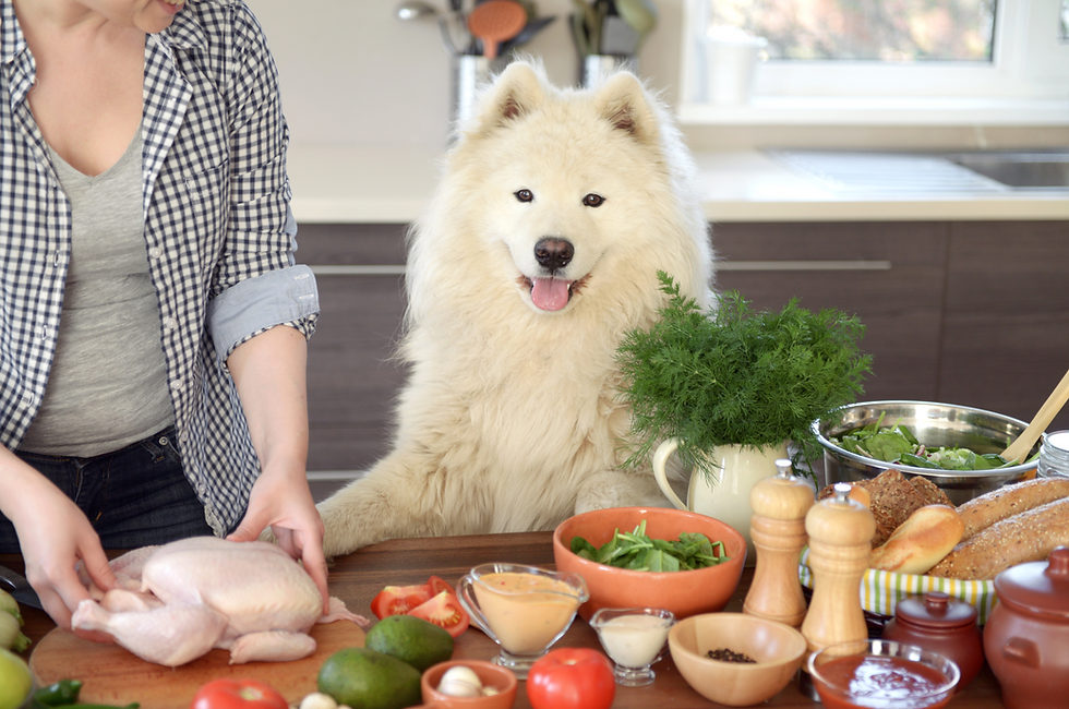 National Cook for Your Pets Day