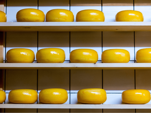 What to eat in the Netherlands?
