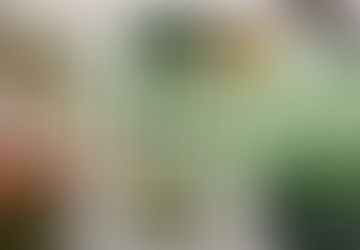 Julförsäljning - Joulumyynti 2025