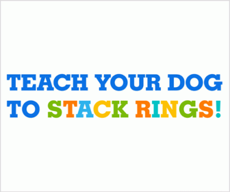 teach-ring-stackers-336x280-a.gif