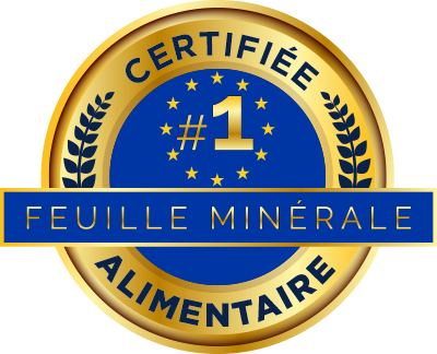 #1-UE-Feuille alimentaire.png