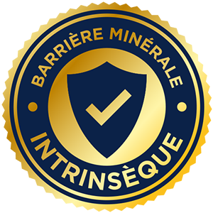 Barrière minérale.png