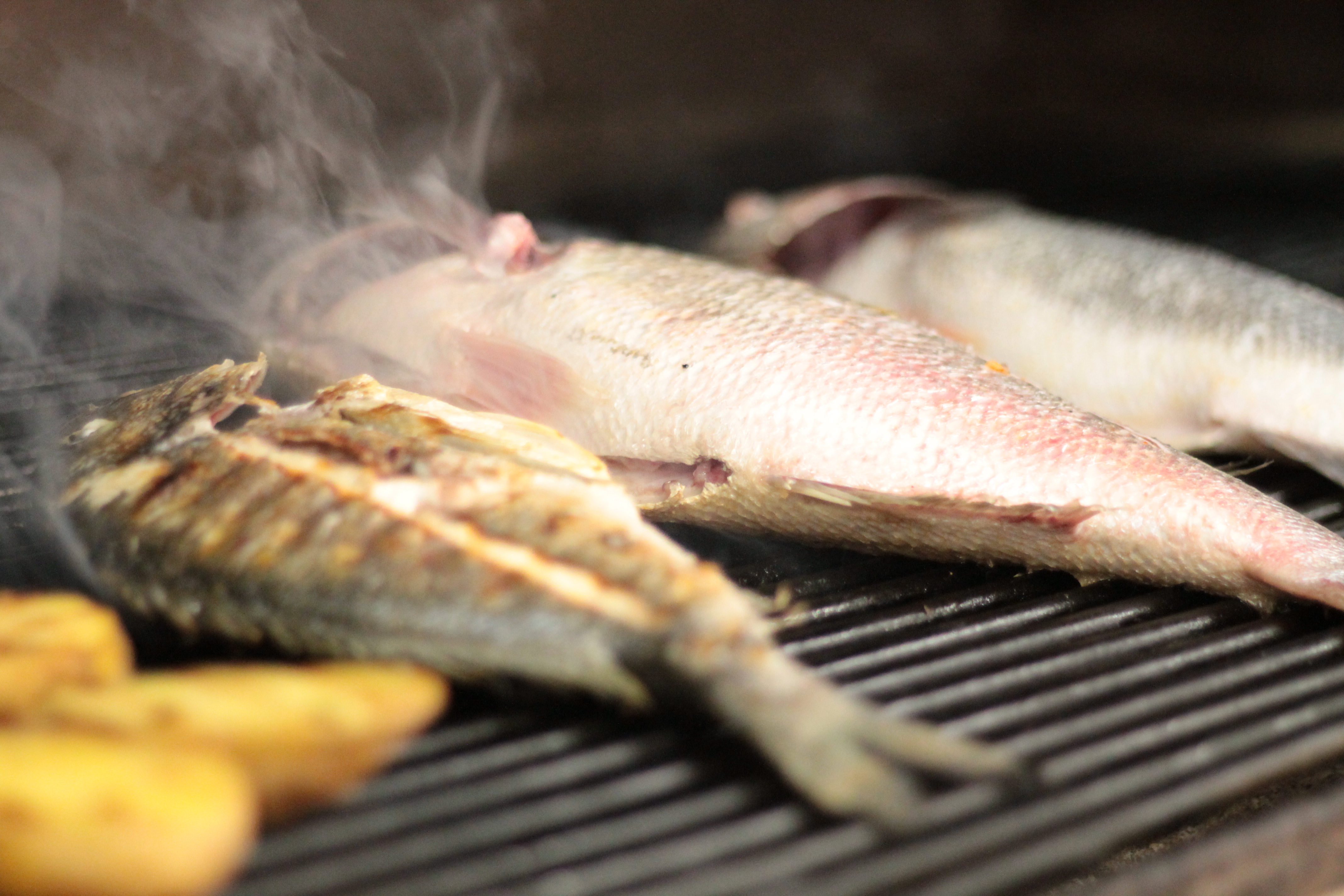 Arranged Food and Objects