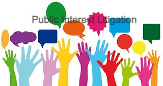 PUBLIC INTEREST LITIGATION